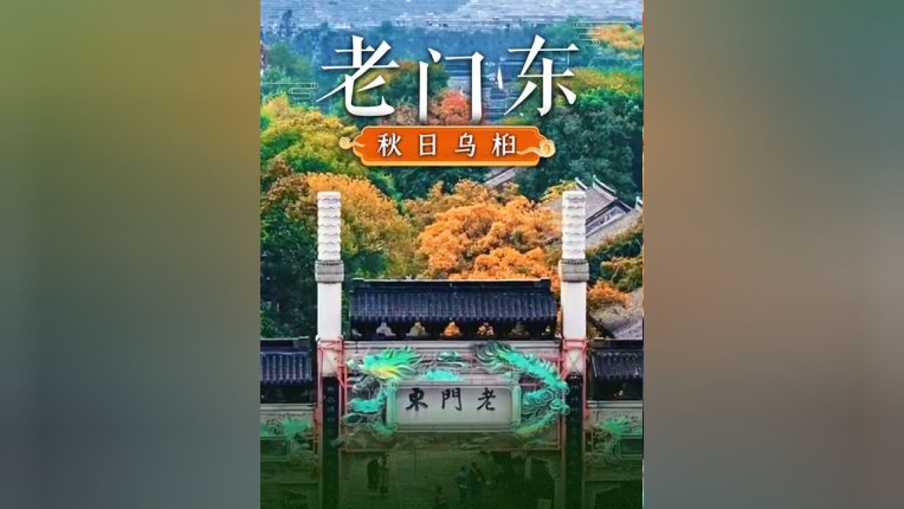 老门东乌桕满足你对江南秋天的想象