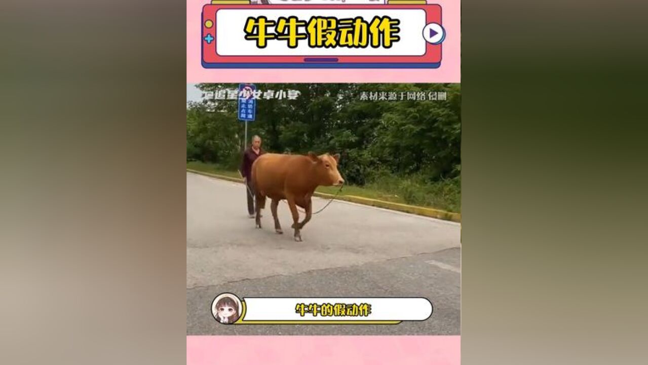 牛:嘿嘿,好玩儿,爱玩儿,还要玩儿