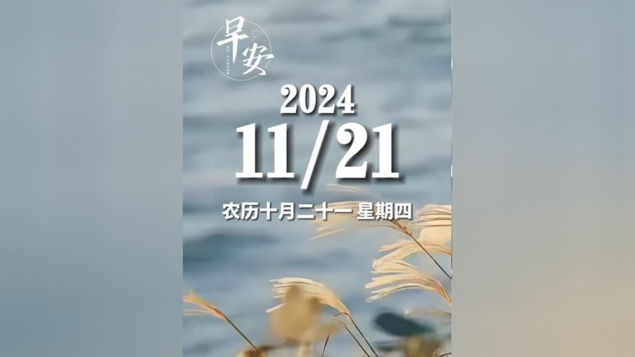 早安青岛 今天是11月21日 星期四 早安 对未来真正的慷慨,是把一切献给当下