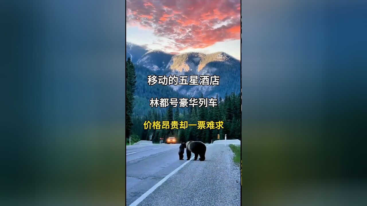 '林都号':中国最奢华旅游专列,哈尔滨至伊春的移动五星级酒店