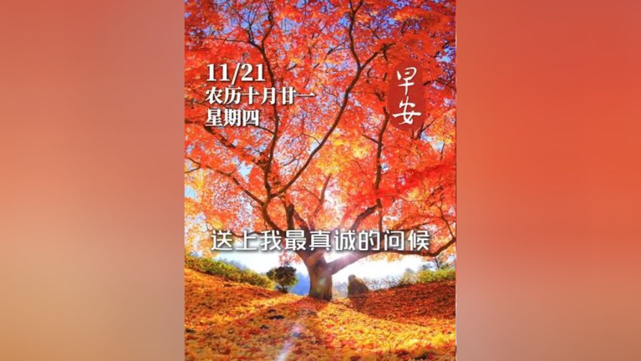 温馨的早晨,送上我最真诚的问候,今天是11月21日星期四,愿您的生活如诗如画,美好不断,幸福常伴!早安!#问候 #幸福常伴