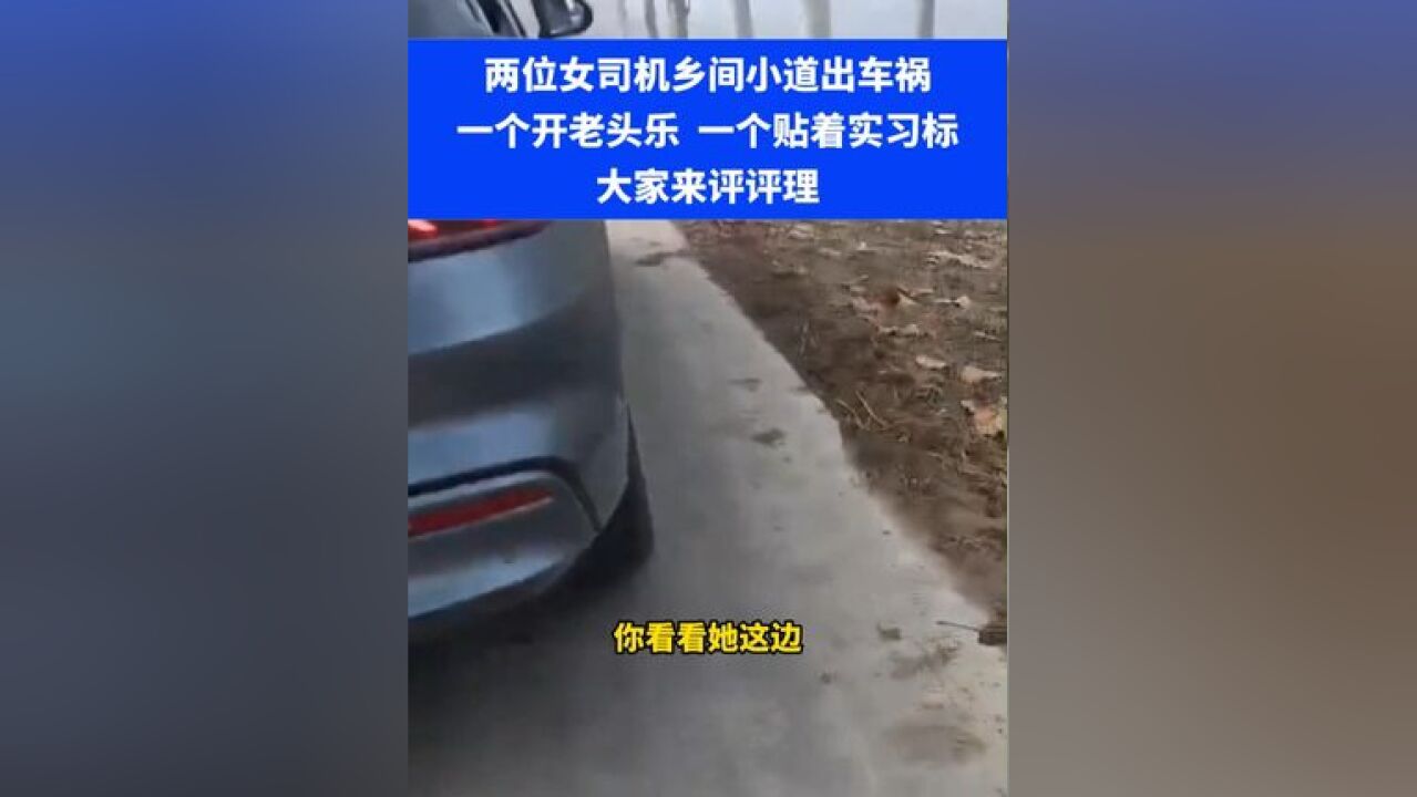 两位女司机乡间小道出车祸,一个开老头乐一个贴着实习标, 大家来评评理