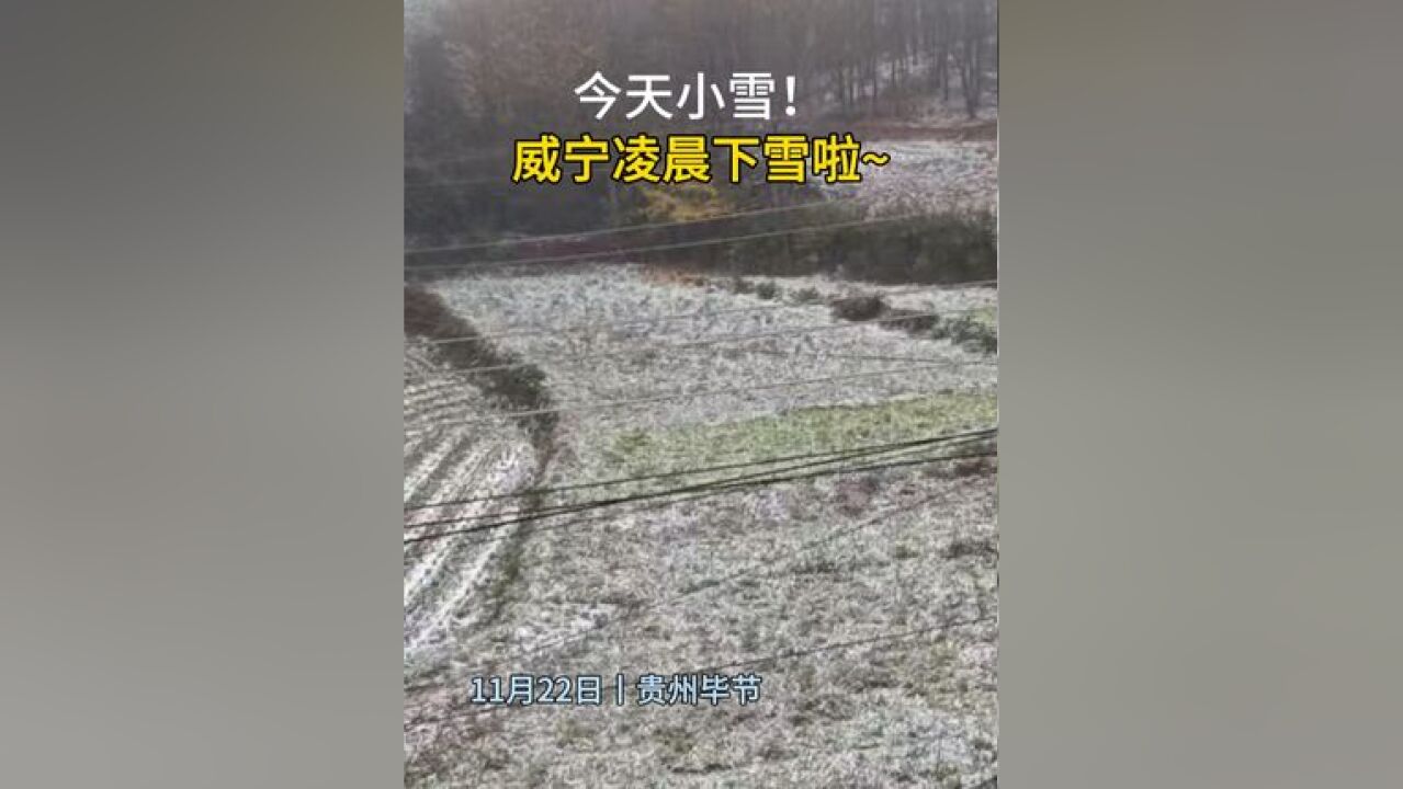 今天小雪!毕节威宁凌晨下雪啦