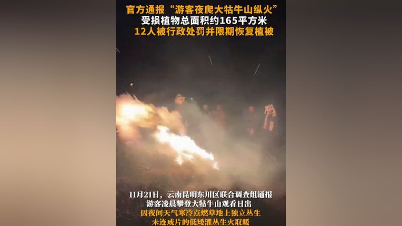 官方通报“游客夜爬大牯牛山纵火”,受损植物总面积约165平方米,12人被行政处罚并限期恢复植被