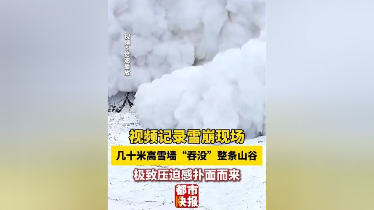 视频记录雪崩现场 几十米高雪墙“吞没”整条山谷 极致压迫感扑面而来