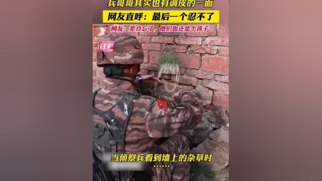 兵哥哥也有调皮的一面!网友直呼:最后一个忍不了!