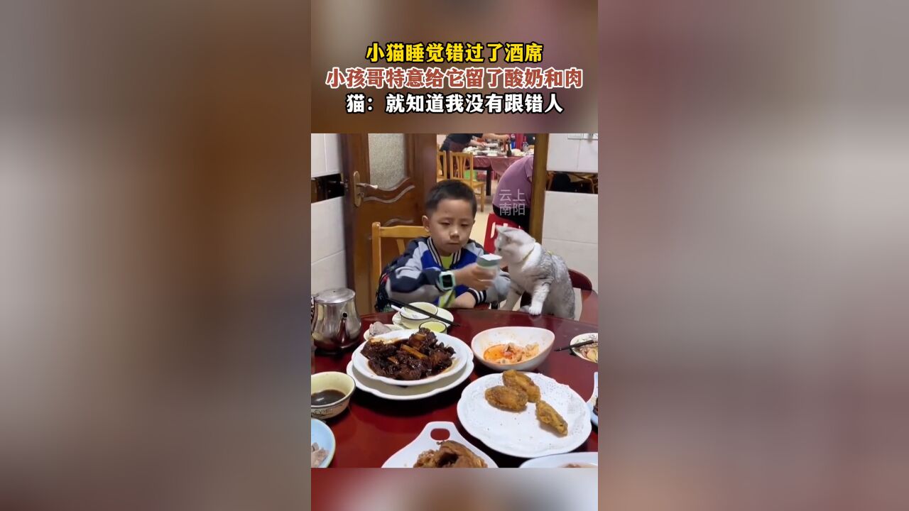 小猫睡觉错过了酒席,小孩哥特意给它留了酸奶和肉