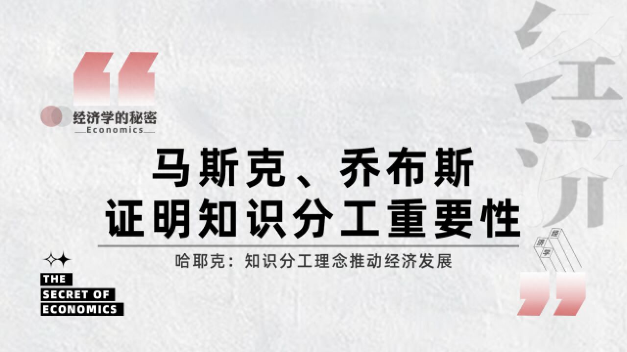 什么是知识分工?知识分工成就了马斯克、乔布斯、爱因斯坦?