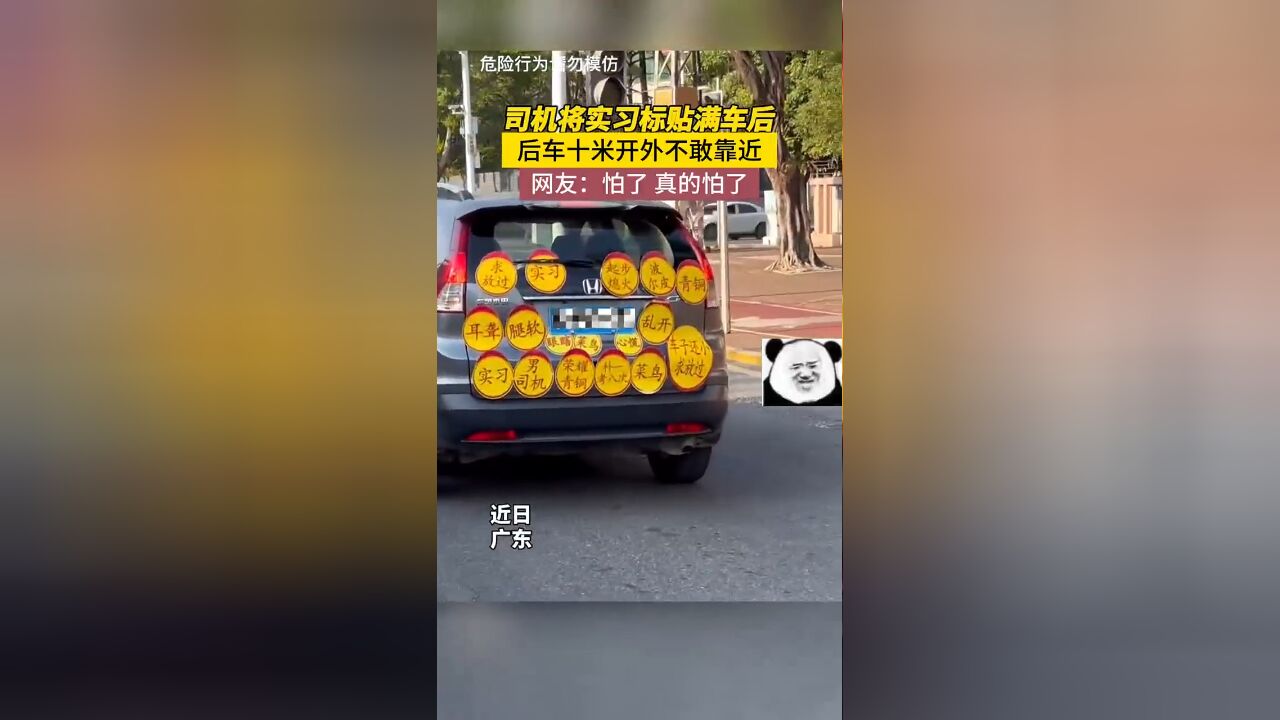 司机将实习标贴满车后,后车十米开外不敢靠近!网友:怕了,真的怕了!