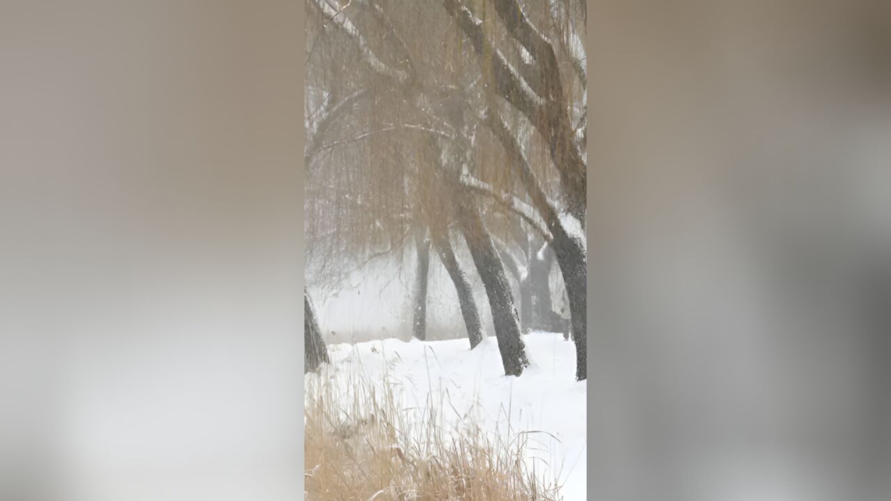 中东部寒潮核心降温时段来了!北方这些地方有暴雪