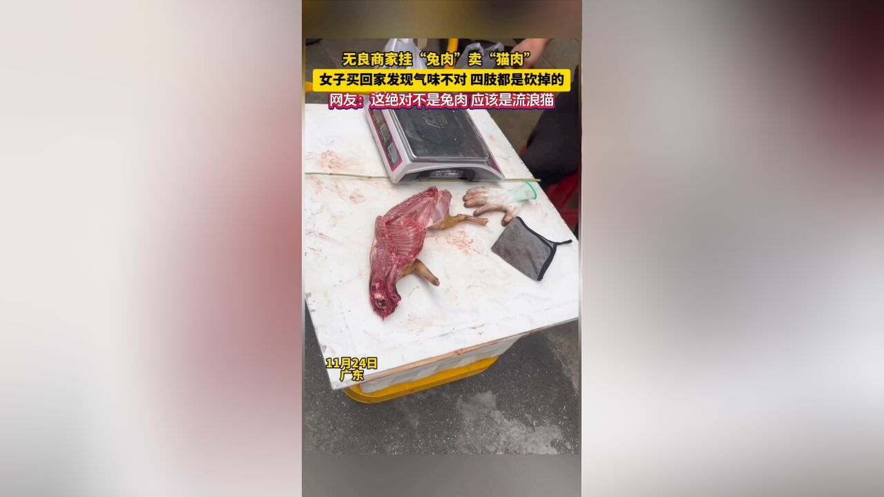 无良商家挂“兔肉”卖“猫肉” 女子买回家发现气味不对