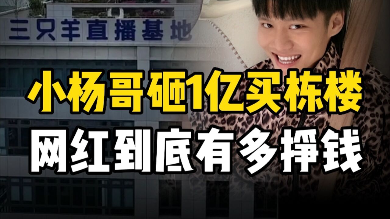 95后主播豪掷1个亿买下整栋楼,网红到底多有钱?你想成为网红吗