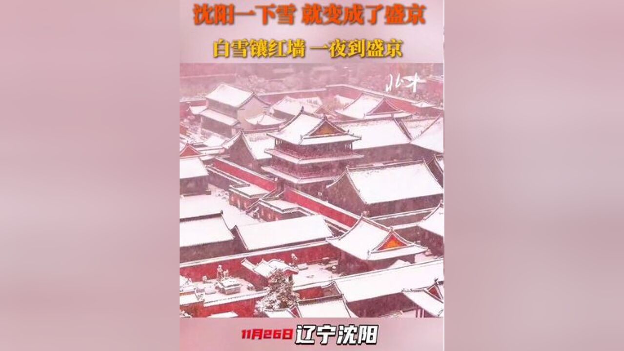 11月26日,辽宁沈阳,沈阳一下雪就变成了盛京,白雪镶红墙,一夜到盛京