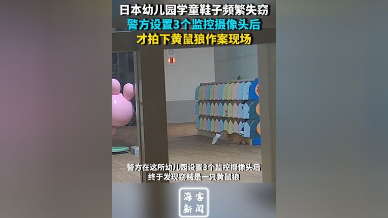 日本幼儿园学童鞋子频繁失窃 警方设置3个监控摄像头后 才拍下黄鼠狼作案现场