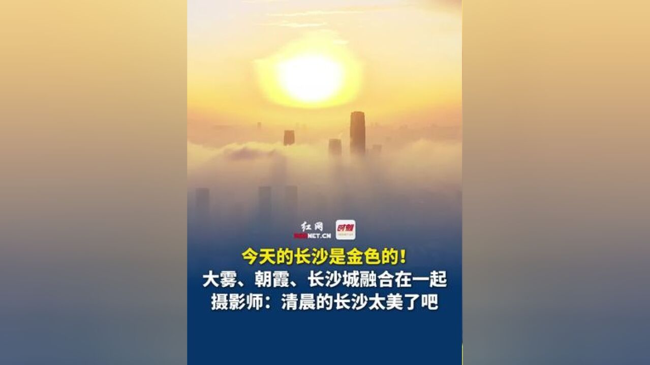 今天的长沙是金色的!11月26日,大雾、朝霞、长沙城融合在一起,摄影师:清晨的长沙太美了吧!