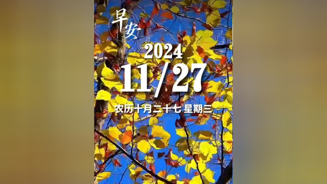 早安青岛 今天是11月27日 星期三 早安 每个人都会遇见酸甜苦辣,保持好的心态才能走得更远