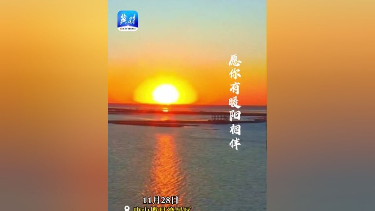 “冀”情山水丨群鸟与初升旭日相映成趣 共舞于天地之间