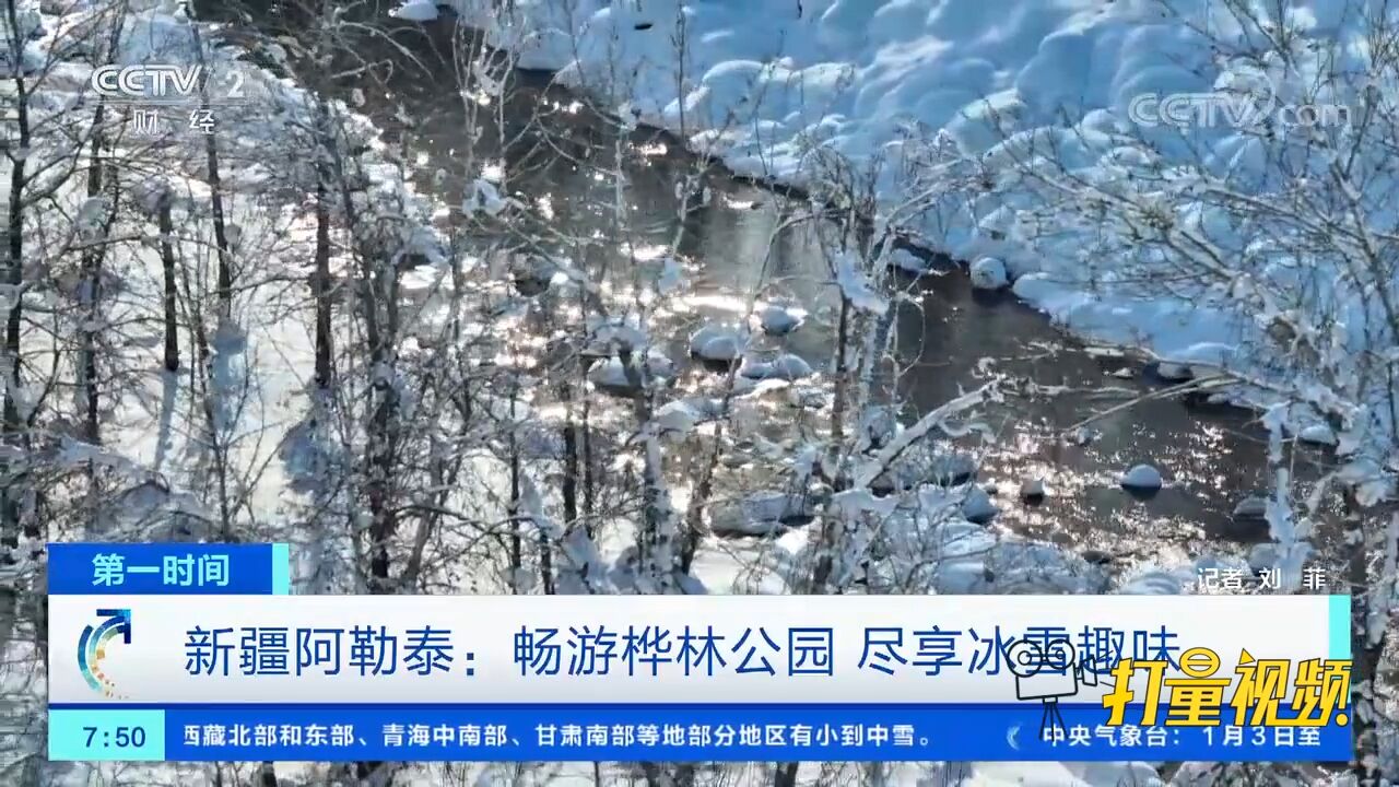 新疆阿勒泰:畅游桦林公园,尽享冰雪趣味