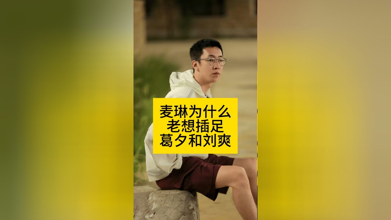 麦琳为什么老想插足葛夕和刘爽