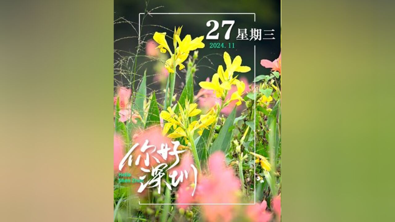 鲜花勾勒淡雅画卷,晕染平和与安然,美好不只远方,眼前便是桃源