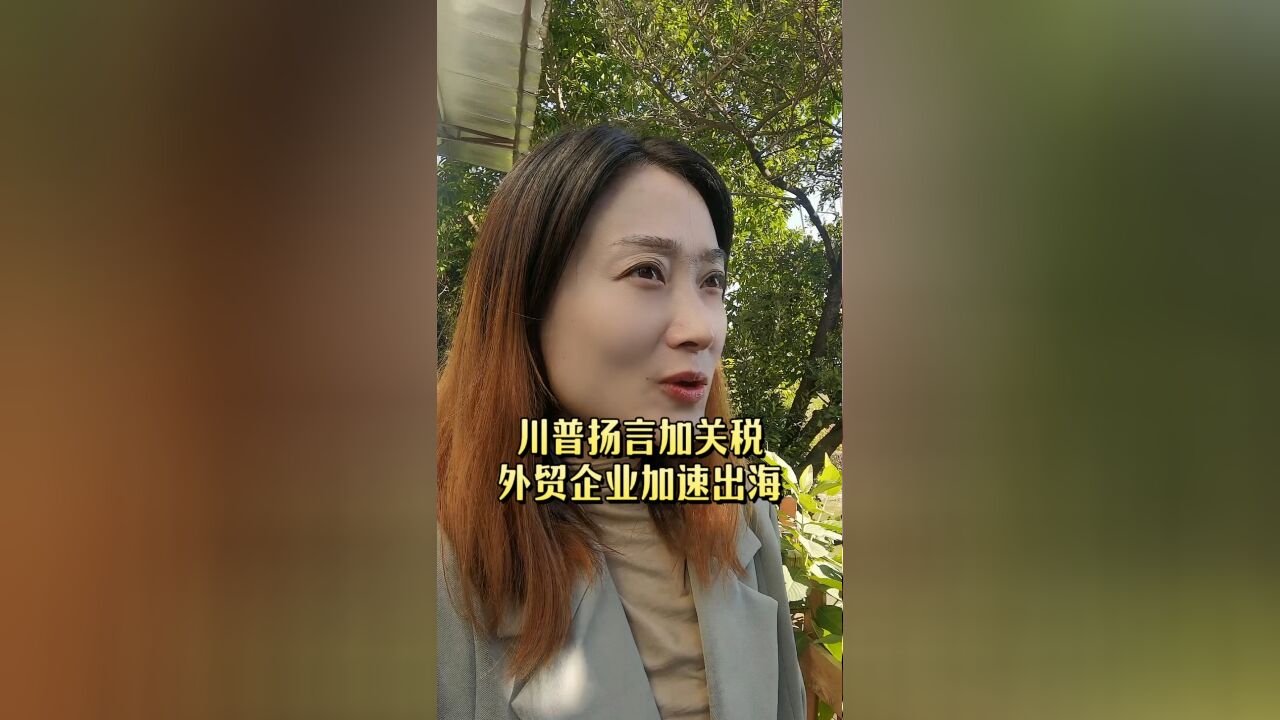 川普扬言加关税,外贸企业加速出海!