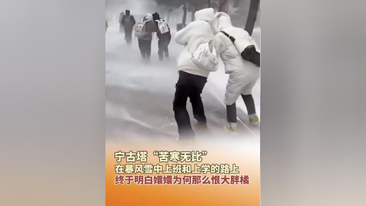 宁古塔“苦寒无比”,在暴风雪中上班和上学的路上,终于明白嬛嬛为何那么恨大胖橘