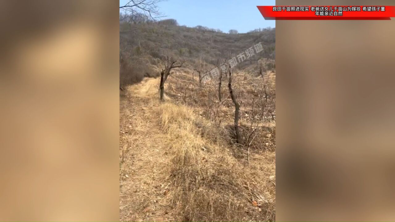 良田千亩照进现实!老爸送女儿千亩山为嫁妆,希望孩子童年能亲近自然