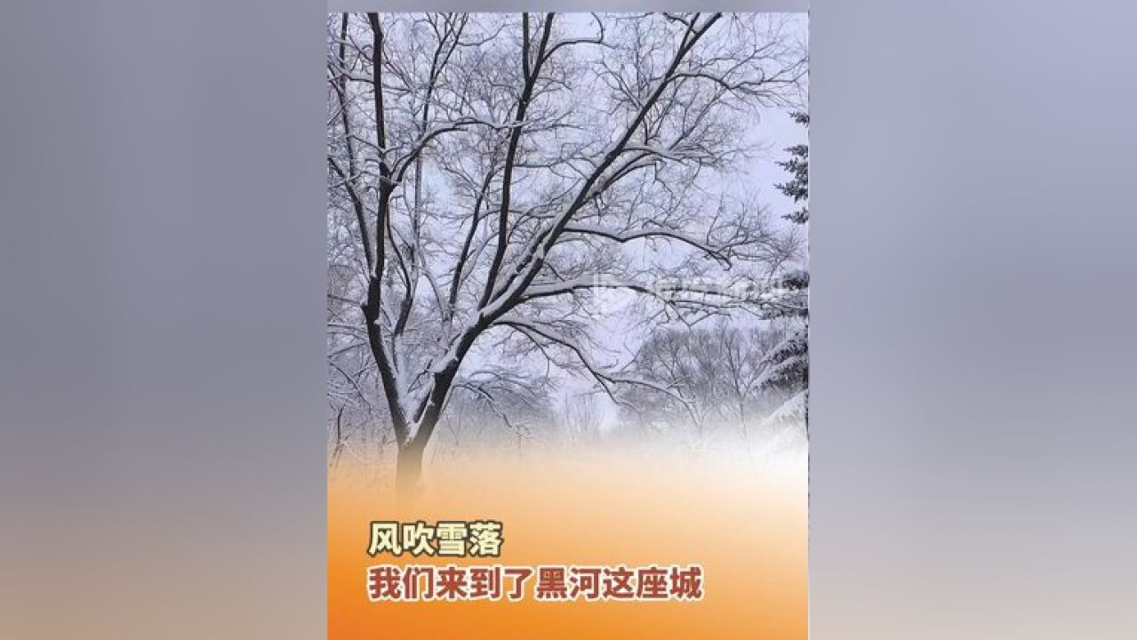 风吹雪落,我们来到了黑河这座城,纷纷扬扬又是一冬