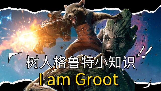 树人格鲁特小知识,I am Groot