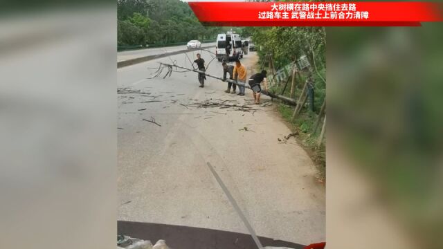 大树横在路中央挡住去路,过路车主 武警战士上前合力清障