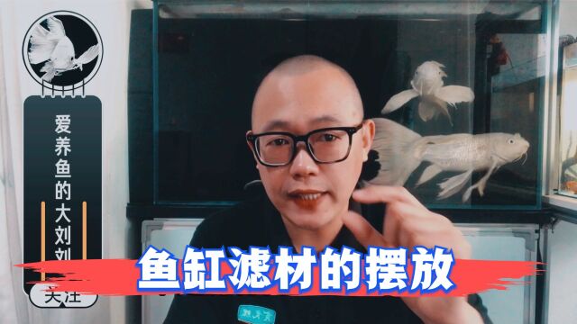 鱼缸滤材的摆放顺序有什么讲究?