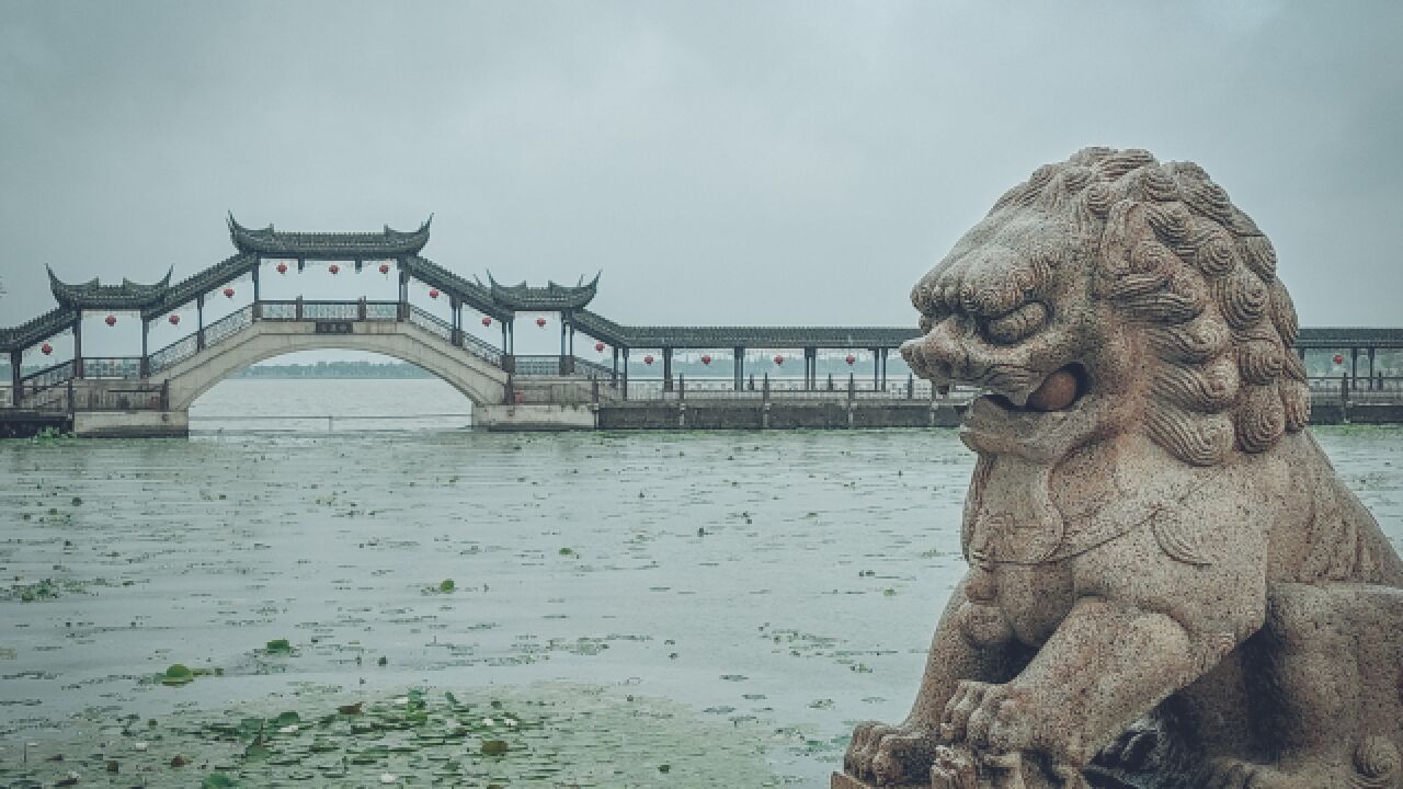 雨中游苏州锦溪古镇,体验水乡江南独特的韵味