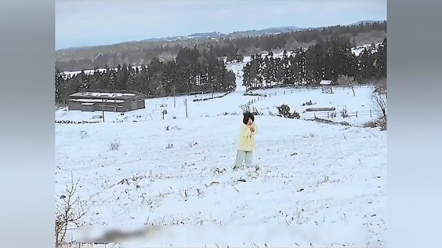 女孩养大一匹小马,没想到小马非常通人性,感人催泪电影《方糖》