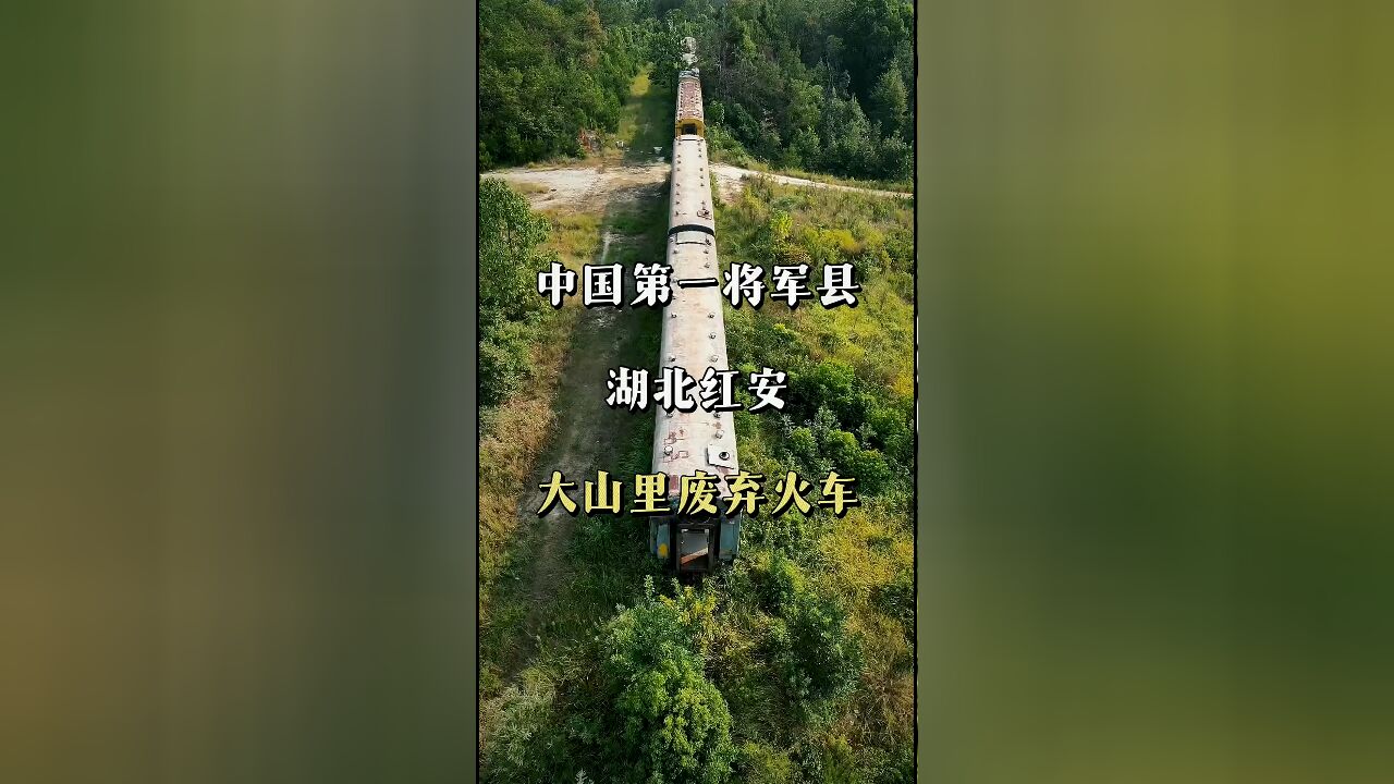 遗落的历史:红安大山中沉睡的废弃火车背后的故事