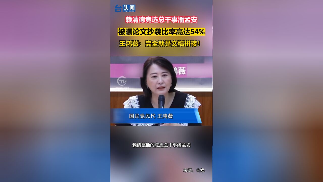 赖清德竞选总干事潘孟安 被曝论文抄袭比率高达54% 王鸿薇:完全就是文稿拼接!