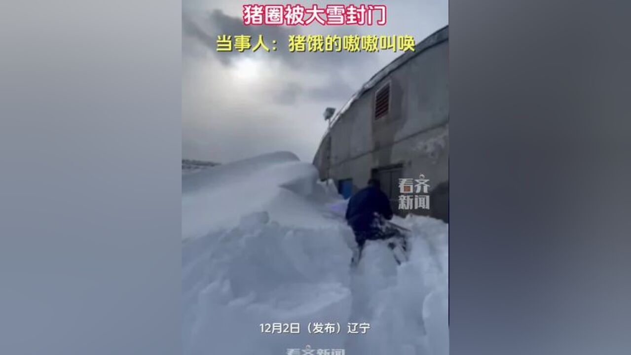 猪圈被大雪封门