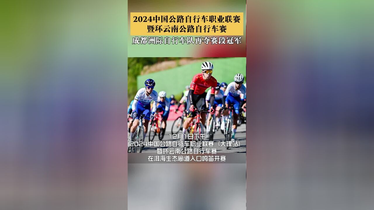 继大理站夺冠后,成都洲际自行车队在中国公路自行车职业联赛楚雄赛段继续夺得赛段冠军、团体冠军