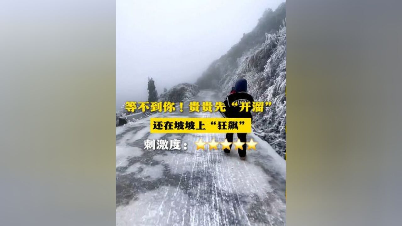 等不到你!贵贵就开始“开溜” 还在坡坡上“狂飙”