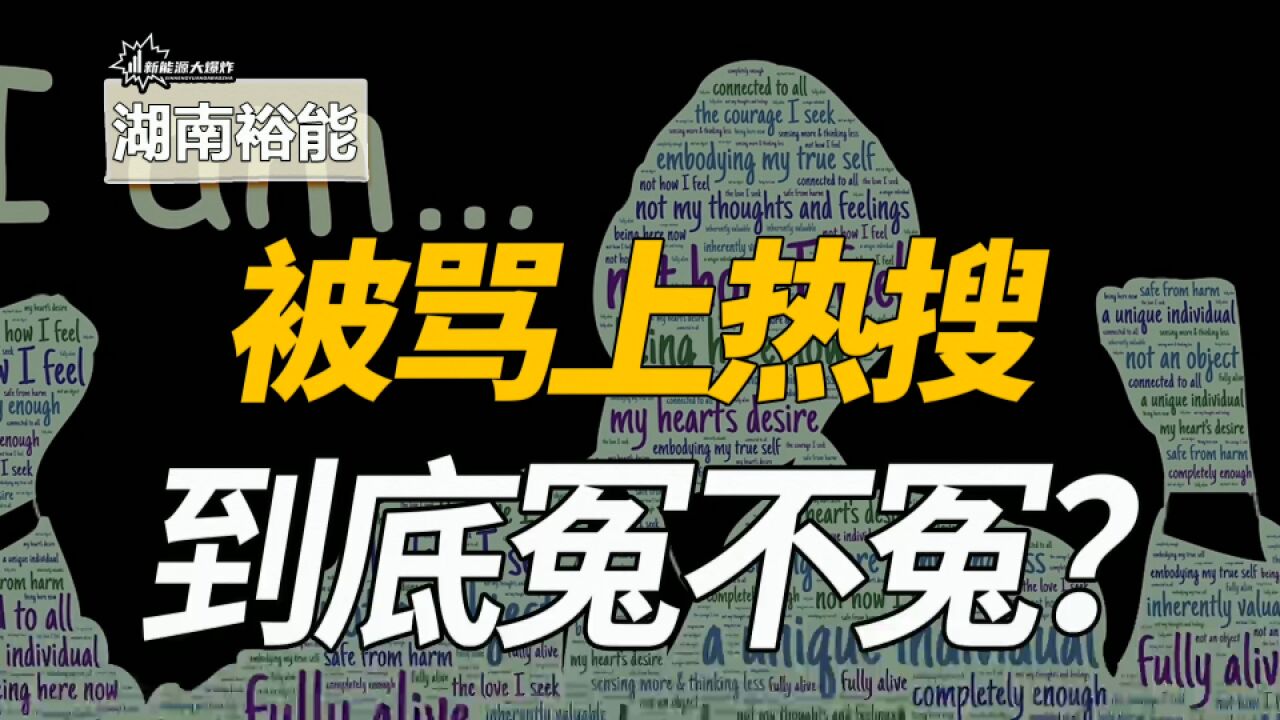 定增募资65亿,却被骂上热搜,磷酸铁锂龙头,湖南裕能割韭菜吗?