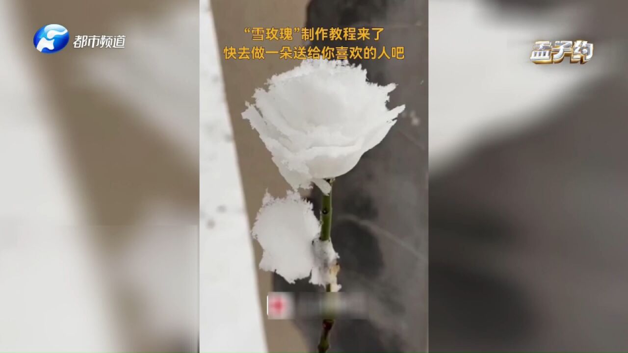 冬季限定!“雪玫瑰”制作教程来了,快去送给最爱的“他”吧