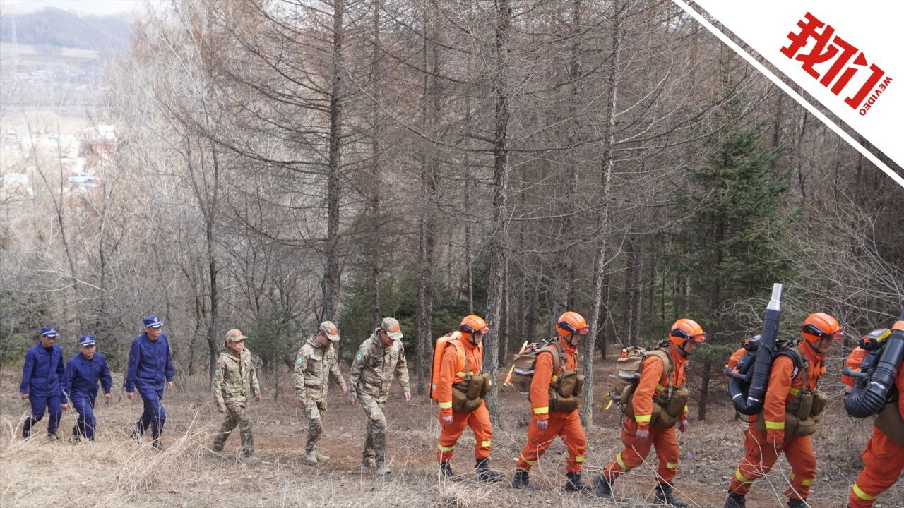 吉林通化消防应急林业三方进山巡护:国家队结合地方队 防野外用火查可燃物