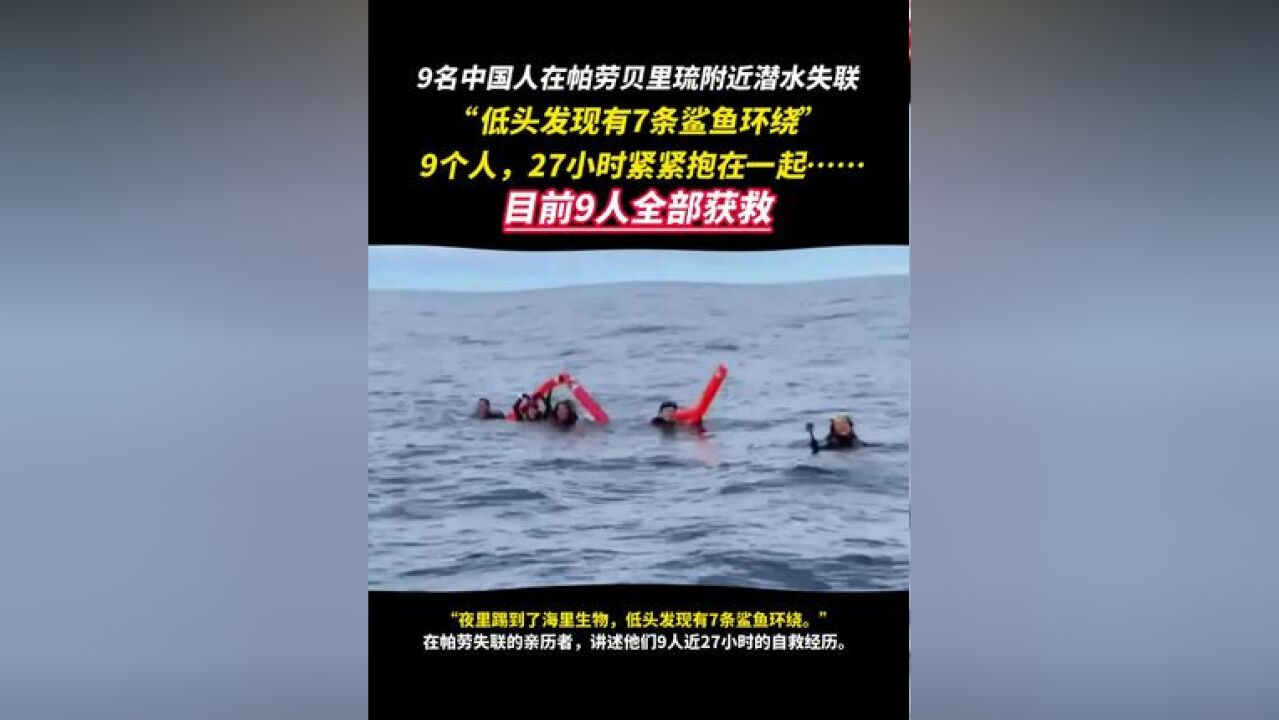 9名中国人在帕劳贝里琉附近潜水失联 “低头发现有7条鲨鱼环绕” 极限求生27小时!目前9名中国公民已全部获救