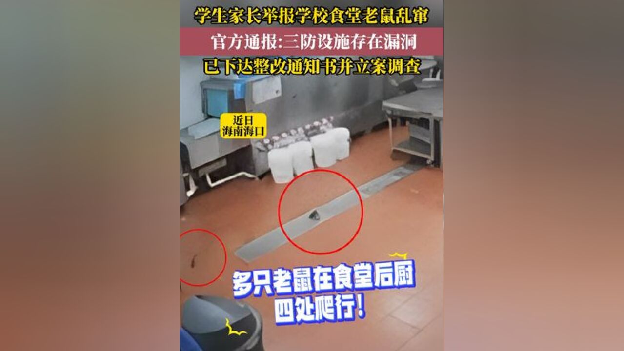 家长举报北京大学附属小学海口学校食堂老鼠乱窜,官方通报:三防设施存在漏洞,已下达整改通知书并立案调查