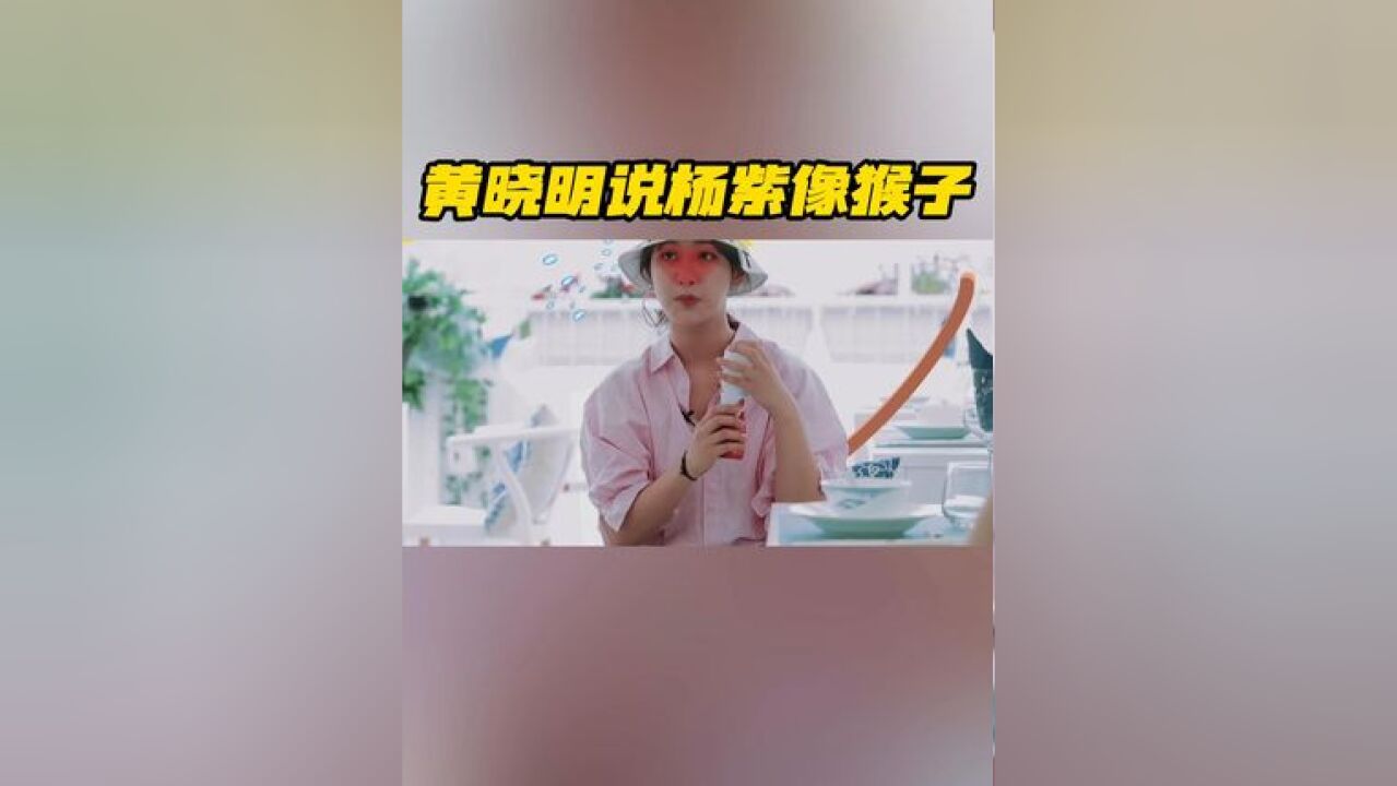 湖南卫视考古杨紫 黄晓明说杨紫走路像小猴子,杨紫说这就是小“猴”紫的由来