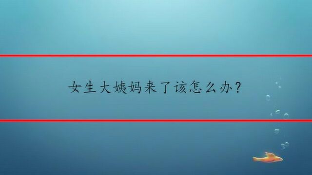 女生大姨妈来了该怎么办?