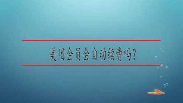 美团会员会自动续费吗?