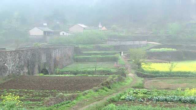 京城四少:大少爷终于表明自己的心意,然而女孩却还有很多顾虑