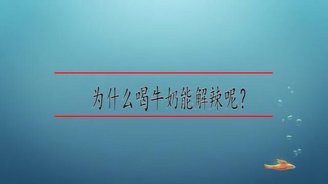 为什么喝牛奶能解辣呢?