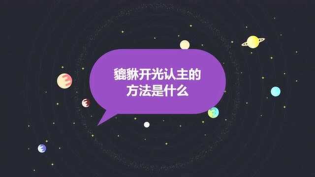 貔貅开光认主的方法是什么