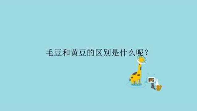 毛豆和黄豆的区别是什么呢?